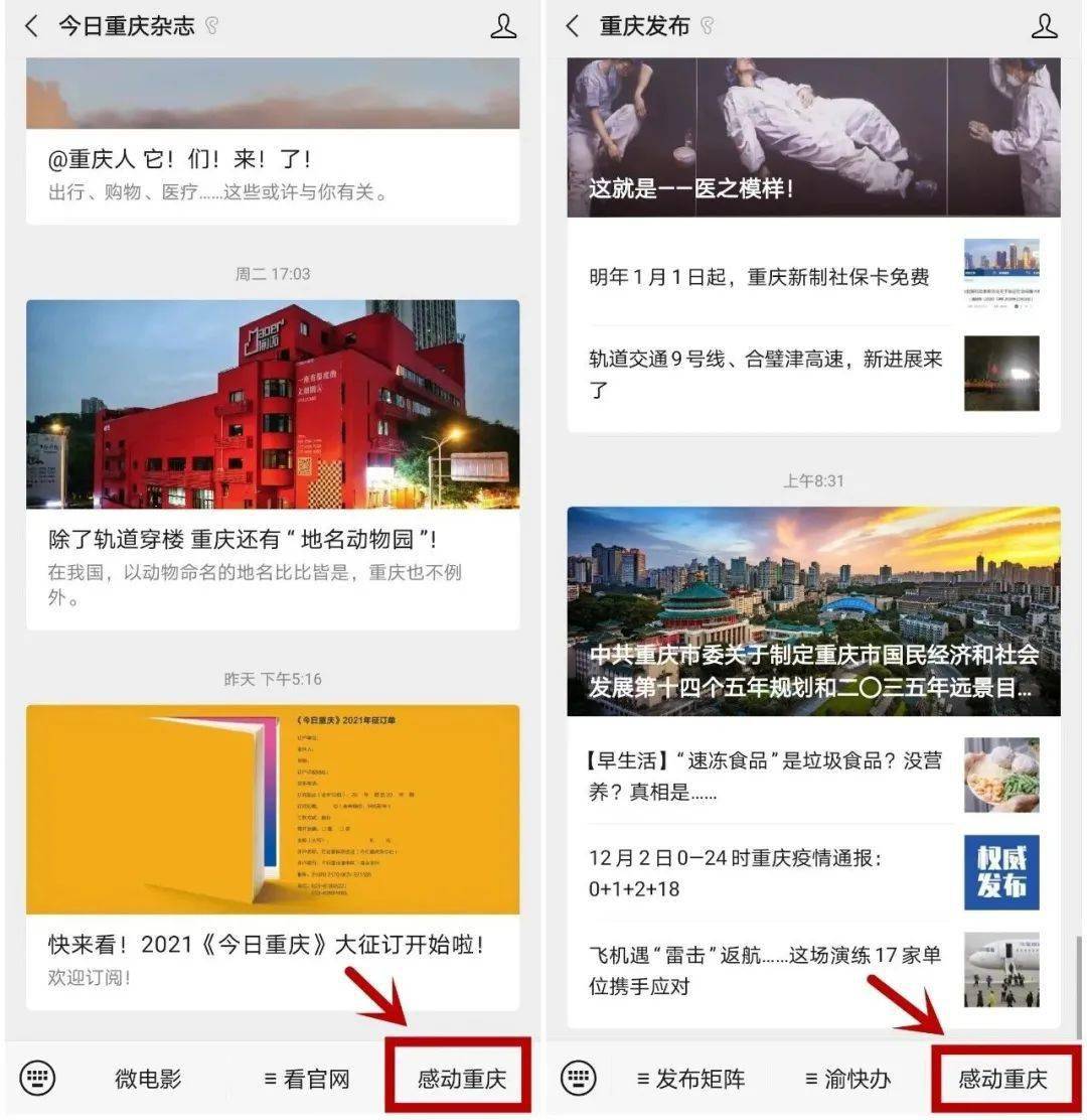 重庆新闻手机客户端大象新闻客户端直播入口-第1张图片-太平洋在线下载