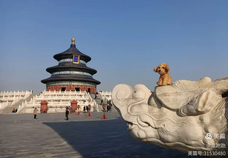 天坛之眼安卓破解版下载(天坛之眼第一关 过关攻略大全)-第5张图片-QuickQ官网