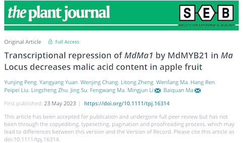 苹果版acid(苹果版acfun)-第5张图片-QuickQ官网