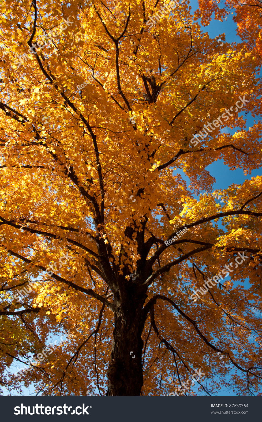 gumtree苹果版(gumtree app下载)-第5张图片-QuickQ官网