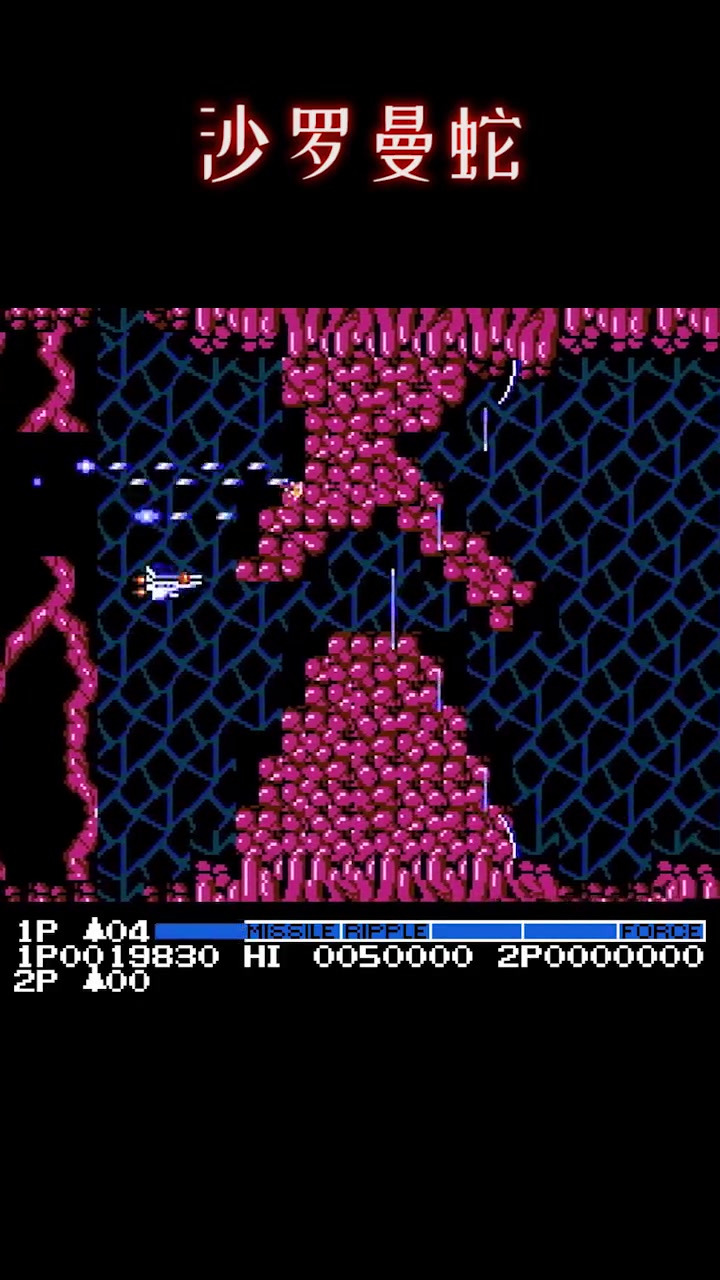 沙罗曼蛇无敌手机版(沙罗曼蛇无限命手机版下载)-第5张图片-QuickQ官网