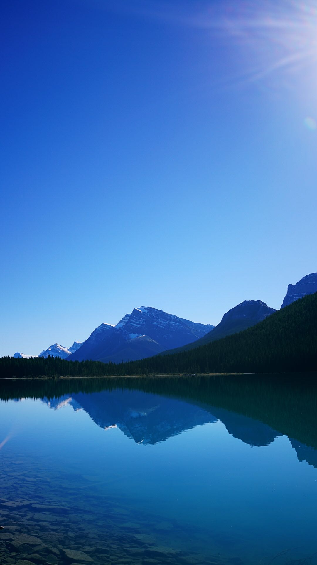 sina新闻手机版(sina news app)-第3张图片-QuickQ官网