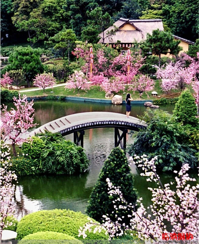 桃源仙境经典版苹果版(桃源仙境手游苹果怎么下载)-第5张图片-QuickQ官网