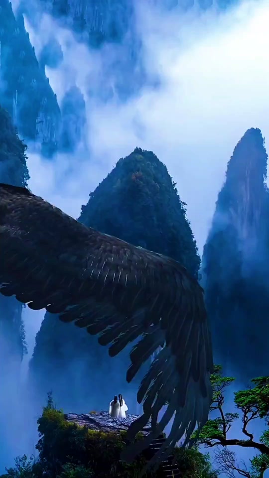 曳舞天下手机版(曳舞天下官网app)-第4张图片-QuickQ官网