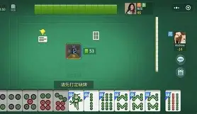 熊猫麻将苹果版兼容版(熊猫麻将苹果版链接地址安装)-第5张图片-QuickQ官网