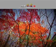 秋霞电影网一手机版(秋霞电影网最新高清电影)-第5张图片-QuickQ官网