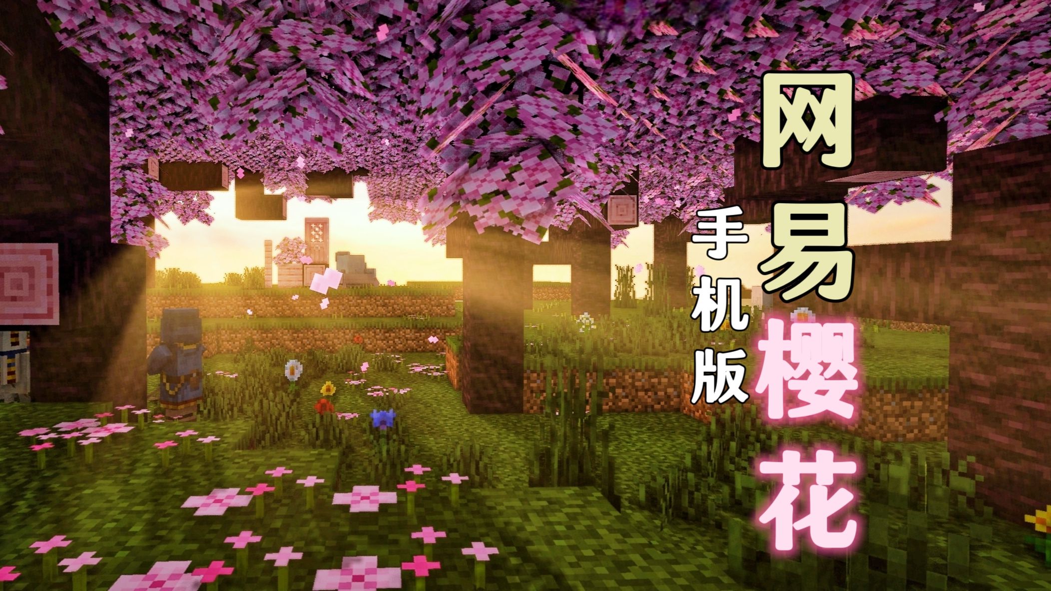 樱花手机版视频下载(樱花手机版视频下载安装)-第3张图片-QuickQ官网